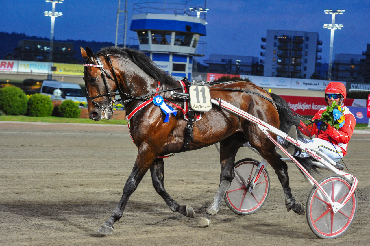 Campo Bahia var snabbast av samtliga försöksvinnare till pokalloppen. Conrad Lugauers häst vann på 1.12,1a/2.140 meter. Foto: Simon Hagen