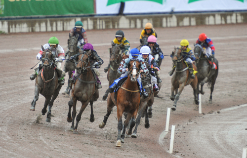 Svensk-norsk montéskräll