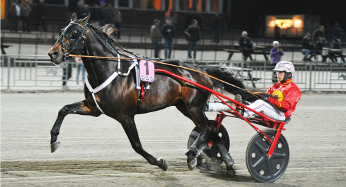 ”Vi går all in i försöket”