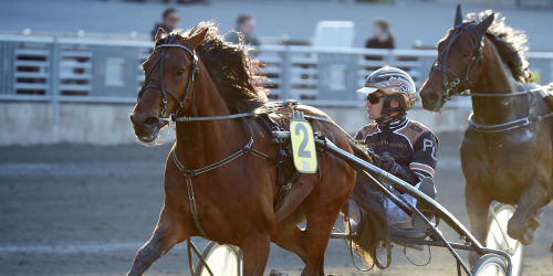 Bäst igår – treåringar hade högsta förstaprisen