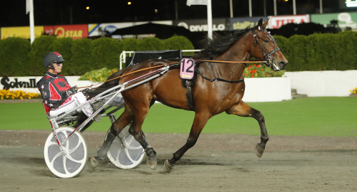 ”Alltid haft en dröm att ha egna hästar”