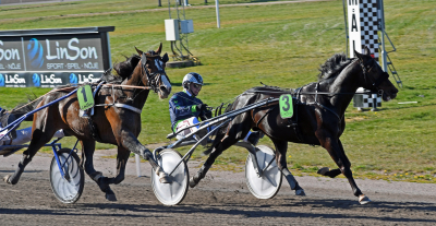 Bäst igår – Elitloppsvinnaren tillbaka