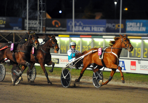 ”Ska verkligen bli spännande”