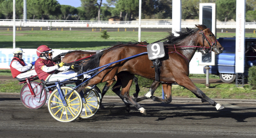 ”Det blir kul att se hur det fungerar här”