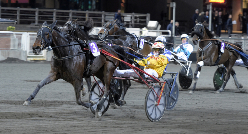 Lärling eller proffs?