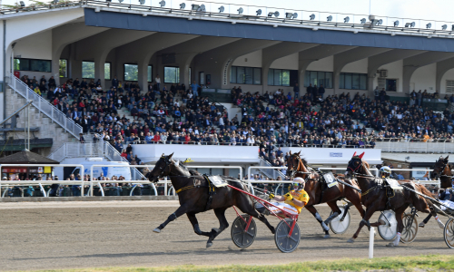 Gocciadoro dömd för drivningen