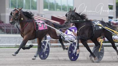 Ägardubbel för Knutsson Trotting