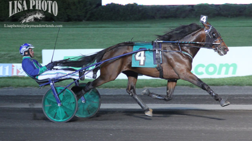 Obesegrad Pilot tog femte raka