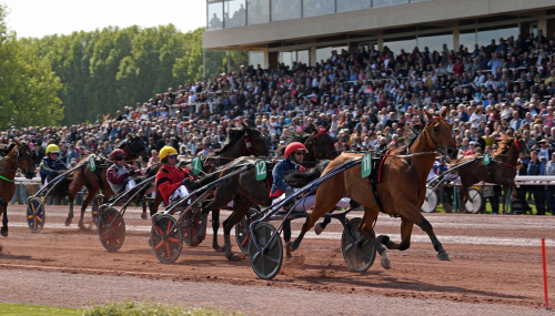 Lysande genrep av Aubrion du Gers