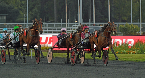 Gotland fortsätter imponera