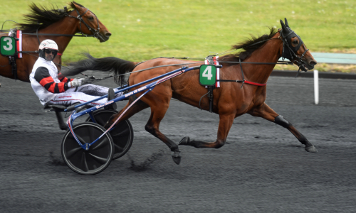 Cleangame lekte från dödens