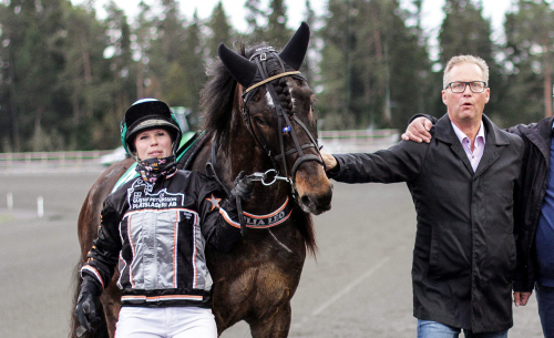 ”En helt annan häst”