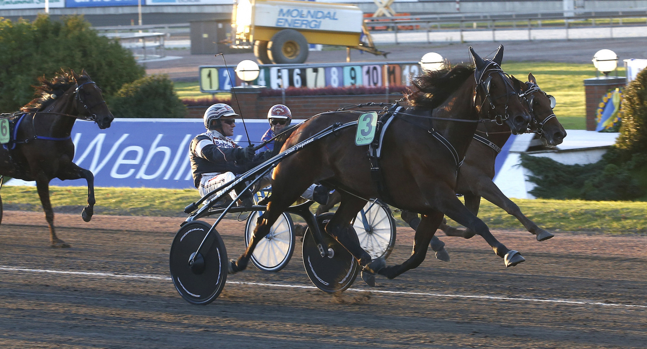 Youana med Stefan Söderkvist vid segern i Sto-SM på Åby 2015. Foto Hanold/ALN
