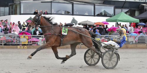 Italienskt monstersto mot eliten