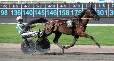 V75-tips: Vässad i tre banjobb