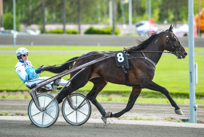 Fina pengar – få hästar