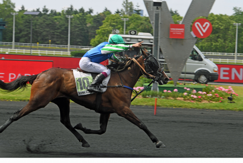 Uppvisning av Fleche Bourbon