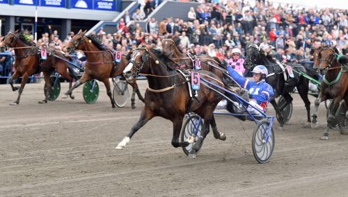 Racing Mange mosade allt