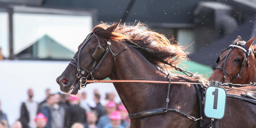 Derbyhoppet till Solvalla