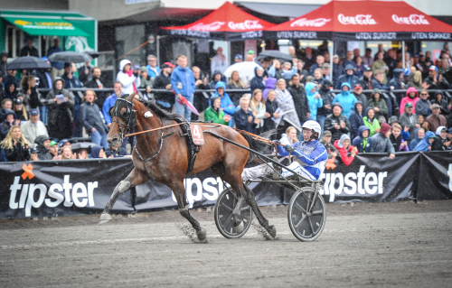 Arga ägare flyttar Vitruvio