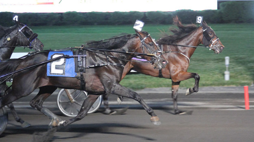 Peter Haughton-etta tillbaka