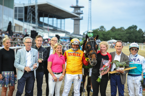 Gocciadoro tappar topphäst