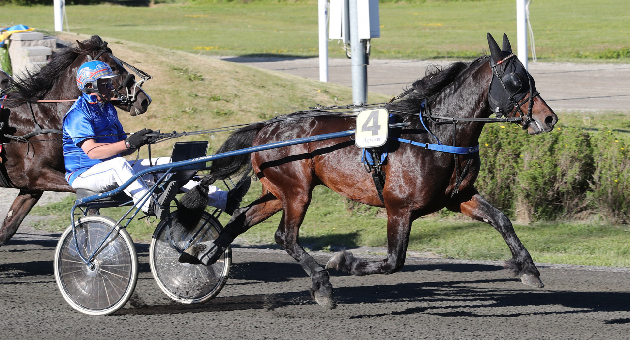 B.W.Rune har fått sällskap på tävlingsbanan av sitt sista syskon B.W.Anita. Foto Mathias Hedlund/Sulkysport