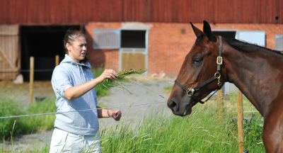 V86: Förlorare en vinnare till slut