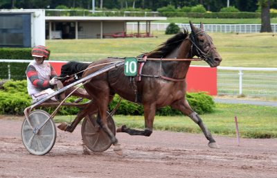 Cleangame med nygammal kusk