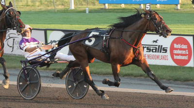 Storstjärna såld och slutar tävla!