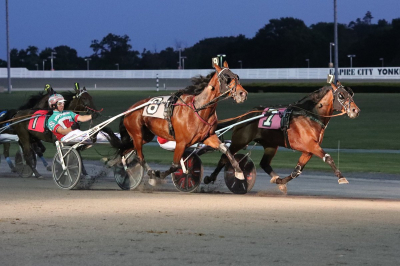 Snabbloppet till ”Tigern”