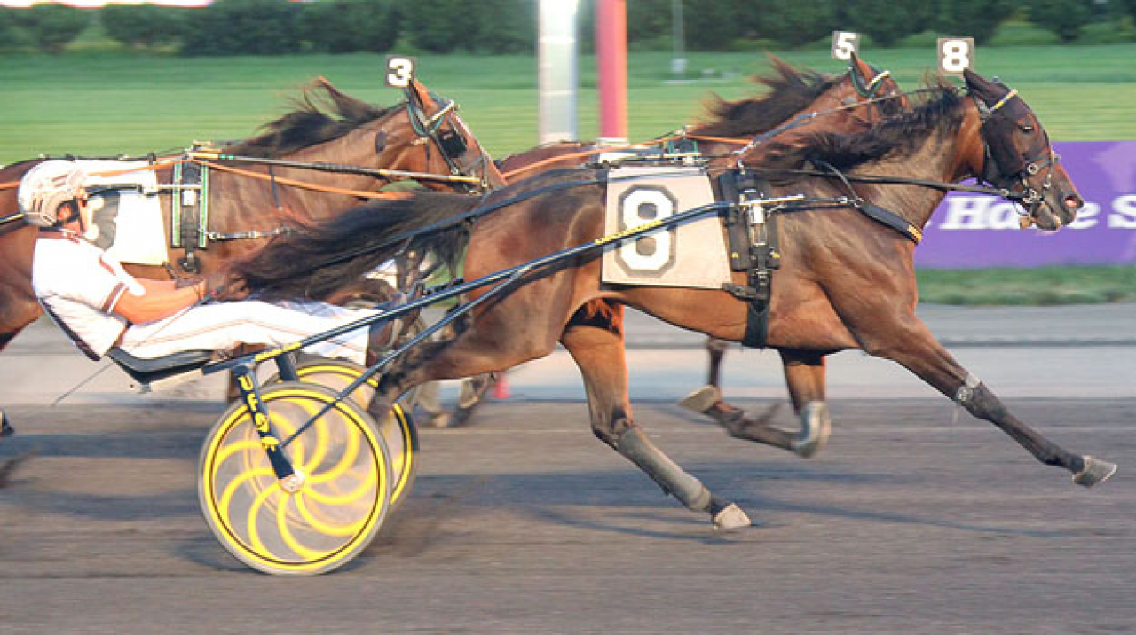 Utvändiga Hypnotic Am spurtar till vinst för Brian Sears i försök till Jim Doherty Memorial. Foto: Lisa Photo