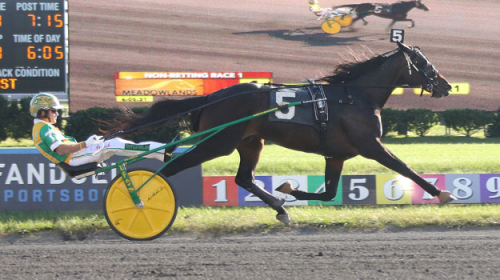 Finalvinnnare utan motstånd