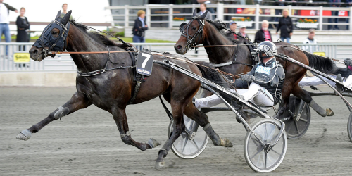 Power får en spännande höst