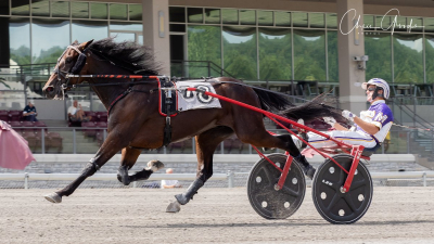 Världsrekord av Real Cool Sam