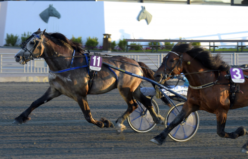 Smedheim Solan skadad