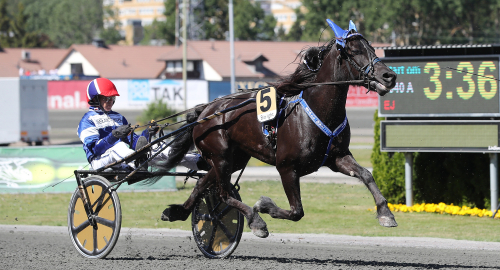Världens rikaste kallblodssto ger sig inte