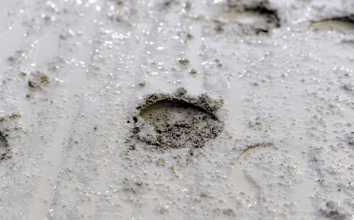 Ström: ”Bäddar för bra sportsliga beslut”