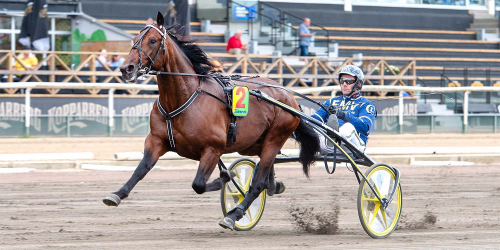 Lysande banjobb av Campo Bahia