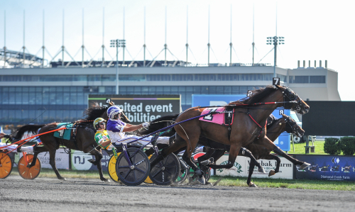 Crystal Fashion tangerade banrekord