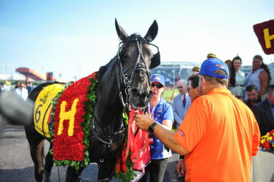 Hambo-etta ute på promenad