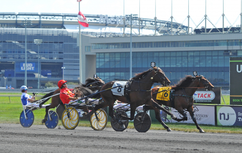Svenskfött i topp i Hambo-försök!