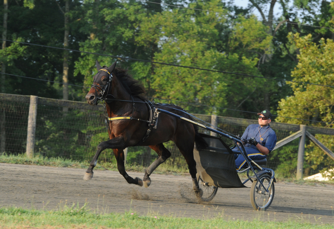 Marcus Melander tillsammans med Hambletonian-favoriten Greenshoe, som ägs av Hans Backe, Lars Granqvist, Morten Langli och Anders Ström. Foto: Adam Ström/stalltz.se