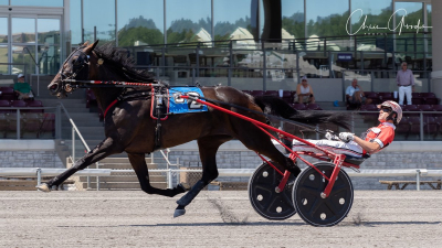 Årsbästa i världen