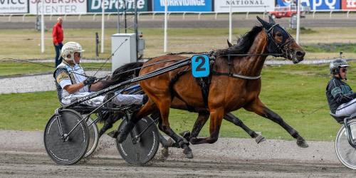 Readly Express-son kvalade