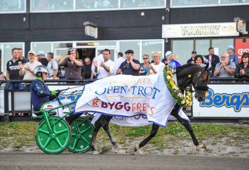 Han blir ny chef på Bergsåker