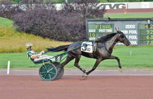 Meriterade jänkare till Gävle