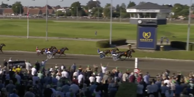 Dumbo flög lågt i Danskt Travderby