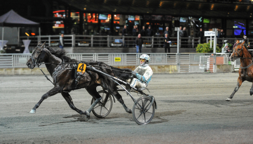 Svensktätt om P d’A-platser