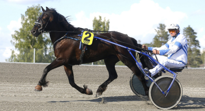 Lars-Eriks sto jagar Oaksseger